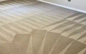 top carpet cleaners in bellingham performing Clean Carpets With Vacuum Lines